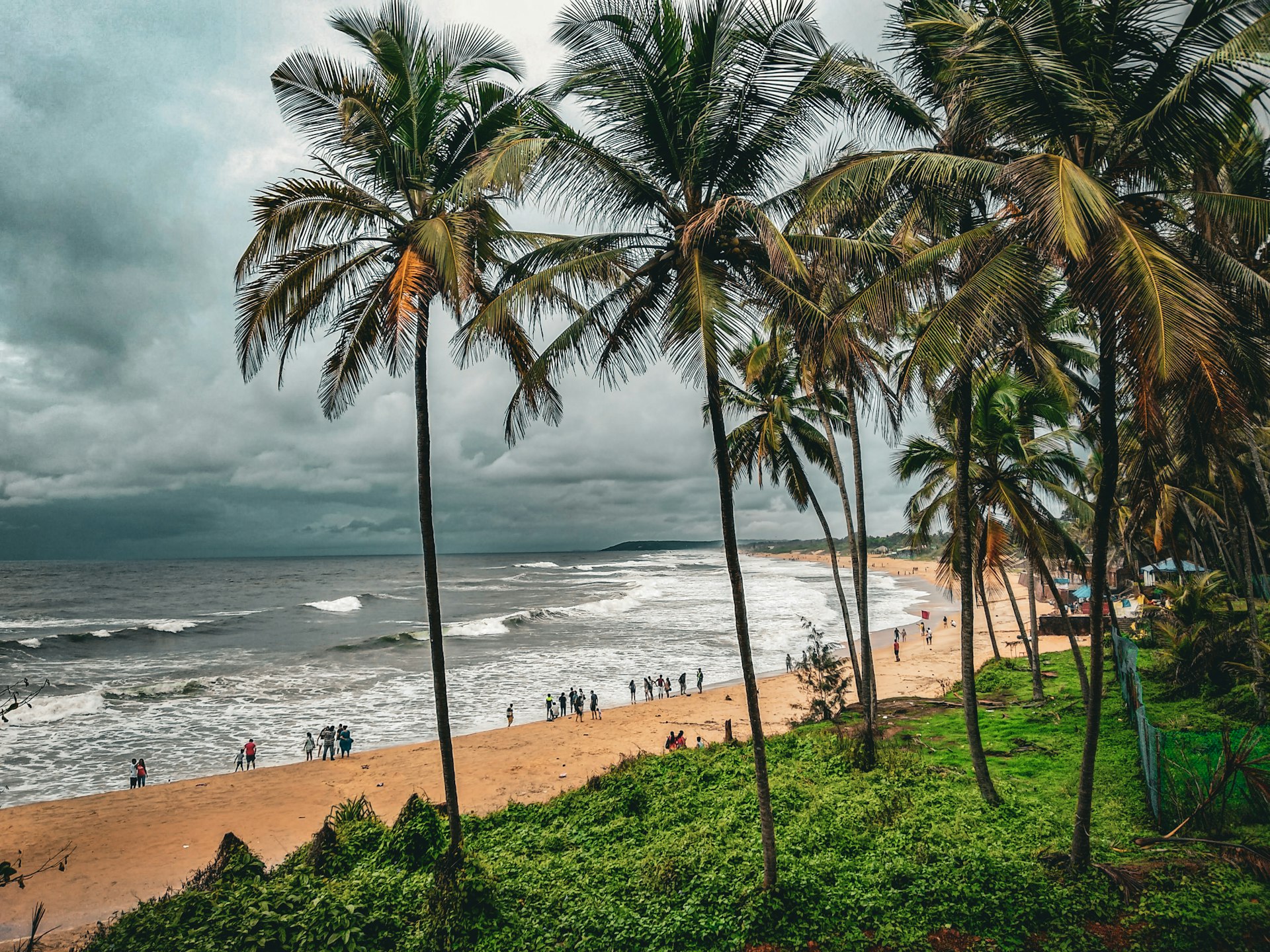a beach with palm trees and people on it